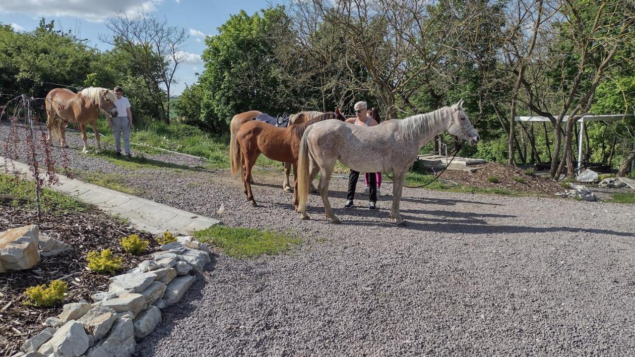 HannaH - Relax dom pod orechom - 2i rodinné štúdio so zdieľanou kuchyňou Trávnica Exterior foto